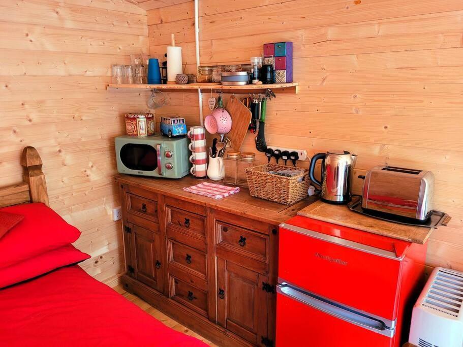 Tan Y Coed'S Rosemary Cabin Conwy Eksteriør bilde