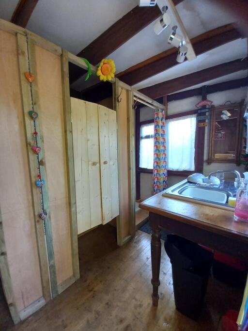 Tan Y Coed'S Rosemary Cabin Conwy Eksteriør bilde