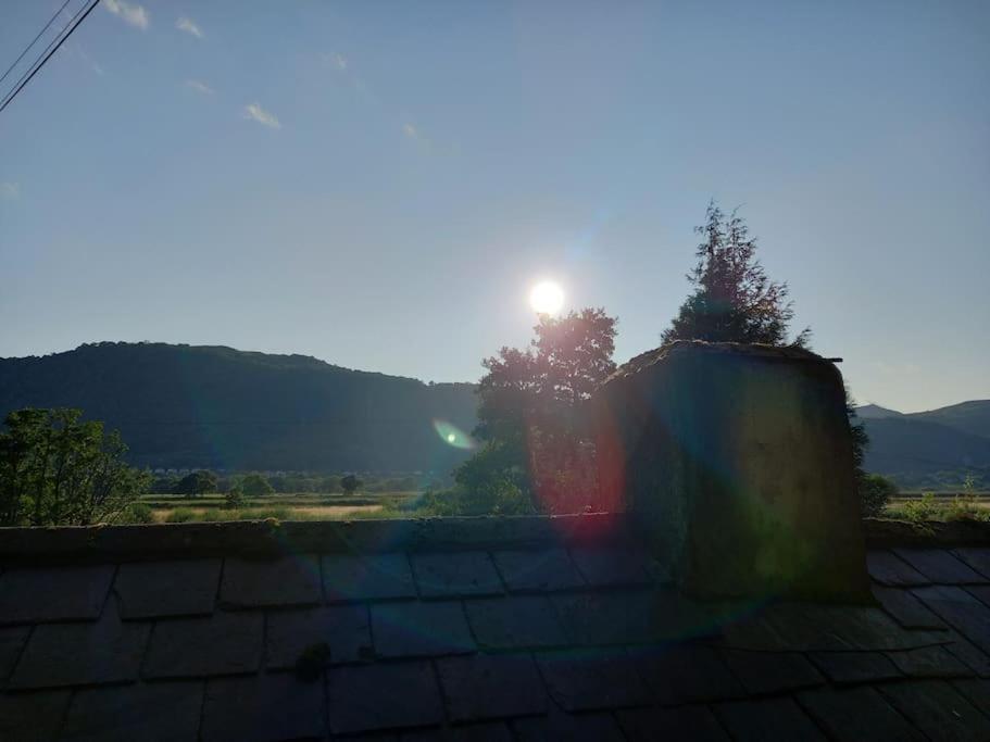 Tan Y Coed'S Rosemary Cabin Conwy Eksteriør bilde