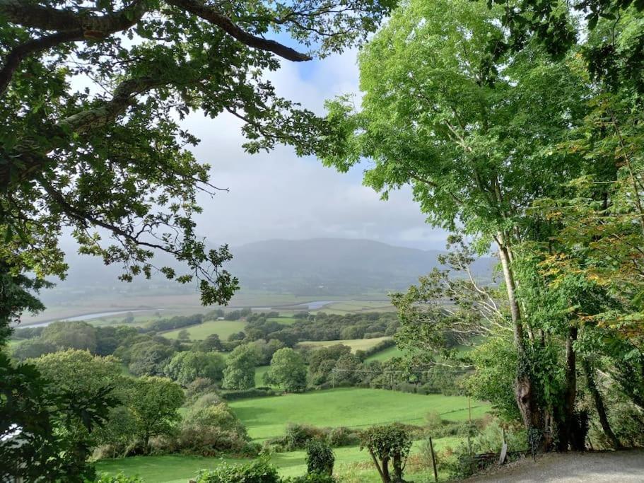 Tan Y Coed'S Rosemary Cabin Conwy Eksteriør bilde