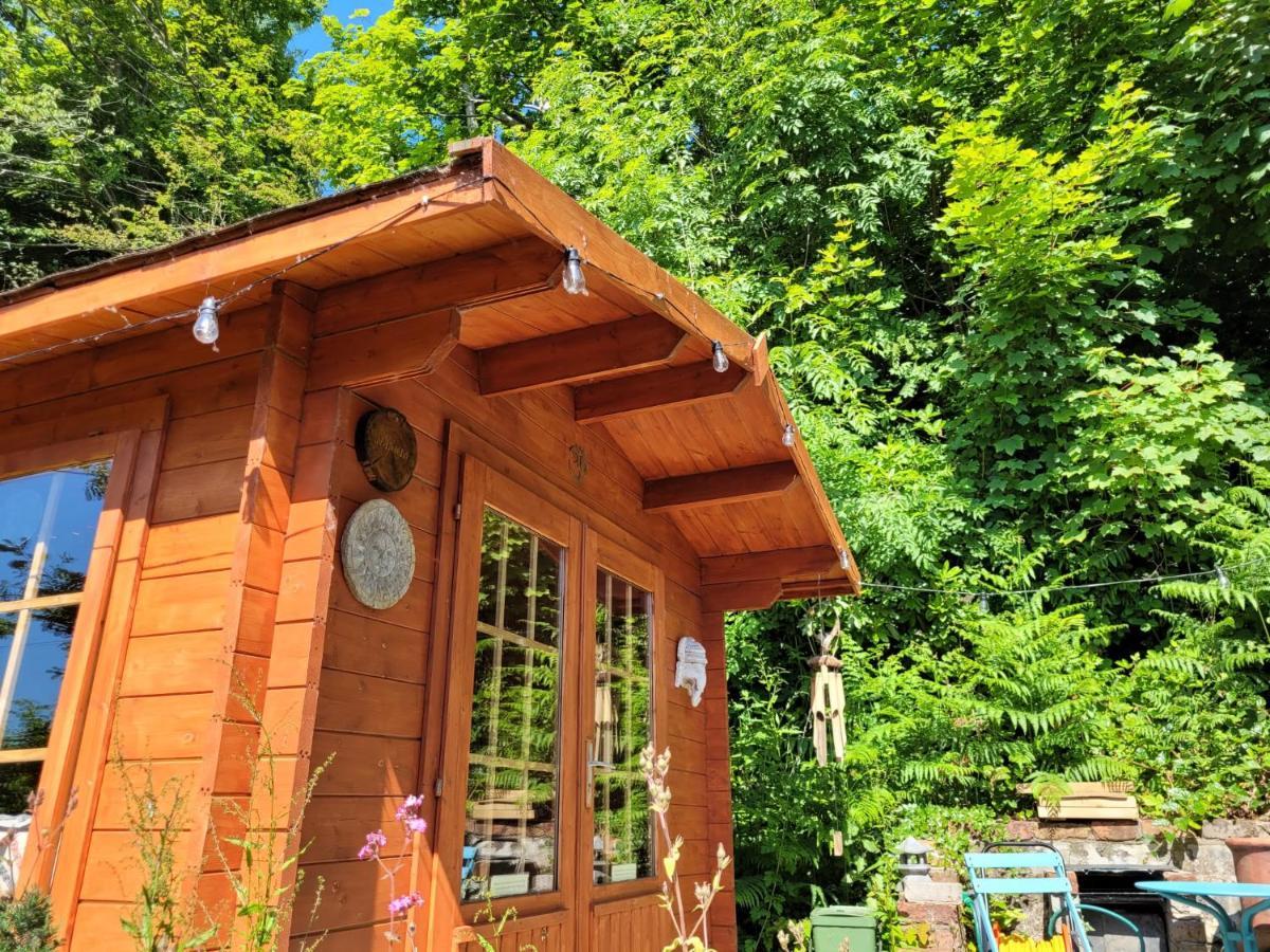Tan Y Coed'S Rosemary Cabin Conwy Eksteriør bilde